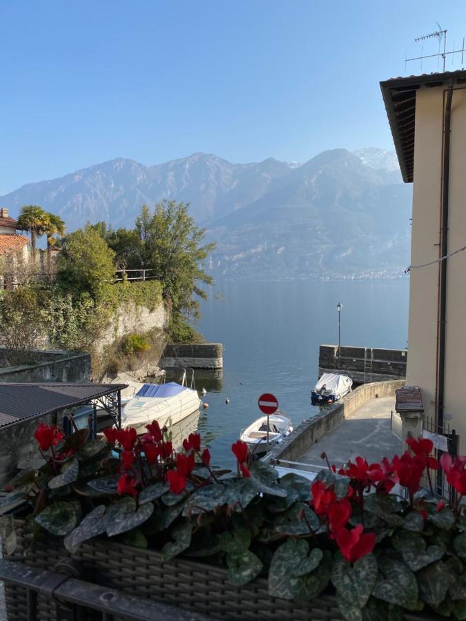 Al Molo 5 - Margaritaville Oliveto Lario 外观 照片